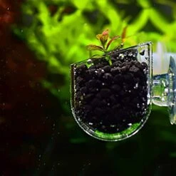 ESAAH Fish Feeding Cup, Aquarium Red Worm Fish Feeder Transparent Cup Fish Food Container For Feeding Shrimp Fish -Zoo Shop 410klguC25L