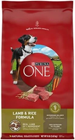 Purina ONE Dry Dog Food Lamb And Rice Formula - 31.1 Lb. Bag -Zoo Shop 4113HEDPdmL. AC