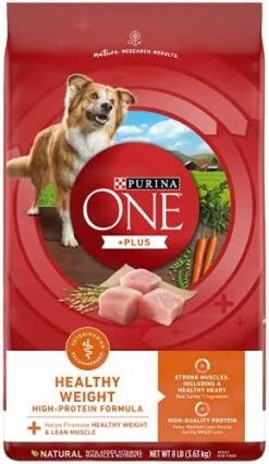 Purina ONE Plus Healthy Weight High-Protein Dog Food Dry Formula - 8 Lb. Bag -Zoo Shop 4119OwuZrvS. AC