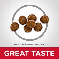 Hill's Science Diet Dry Cat Food, Kitten, Indoor, Chicken Recipe, 3.5 Lb. Bag -Zoo Shop 411CBTtBZ3L