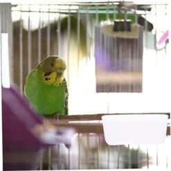 EVANEM Pigeon Automatic Trough Auto Feeder In Window Bird Feeder Parakeet Feeder No Parrot Feeder Pigeon Feed Cup Bird Feeder For Cage Bird Cage Feeding Trough Cage Bird Feeder Pet 10pcs 12 EVANEM Pigeon Automatic Trough Auto Feeder In Window Bird Feeder Parakeet Feeder No Parrot Feeder Pigeon Feed Cup Bird Feeder For Cage Bird Cage Feeding Trough Cage Bird Feeder Pet 10pcs -Zoo Shop 411IQ6PkNXL