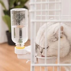 2pcs Pigeon Food Elevated Dispenser Water With Feeder Hanging Pigeon, Cat Plastic Bottle Tool Bowl- Cats Supplies Small White Accessories Dogs Dog Bird And Portable For -Zoo Shop 411MVospuDL
