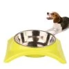POPETPOP Puppy Bowls Stainless Steel Pet Bowl Dog Bowl Food Water Dish Feeder For Dogs Cats And Pets (Single Bowl,Green) Water Tray -Zoo Shop 411U5TQXzoL