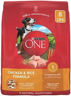 Purina ONE Chicken And Rice Formula Dry Dog Food - 31.1 Lb. Bag -Zoo Shop 411VMPoCUkL. AC 1