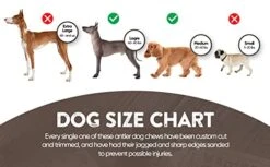 WhiteTail Naturals | Premium Deer Antlers For Dogs (Large) | All Natural Antler Dog Chew | Naturally Shed, Long Lasting Chew Bone, Made In USA (Large (Best For Dogs 40-60 Lbs)) -Zoo Shop 411xIxavY7L