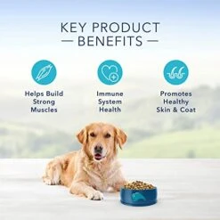Blue Buffalo Life Protection Formula Natural Adult Dry Dog Food, Chicken And Brown Rice 30-lb -Zoo Shop 4128czyoMlL