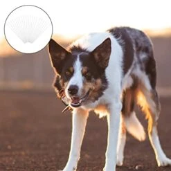 Disposable Artificial Insemination Rods Tube: Flexible Breeding Catheter Rod For Dog Goat Sheep Livestock Breed Rod Test 50pcs 12 Disposable Artificial Insemination Rods Tube: Flexible Breeding Catheter Rod For Dog Goat Sheep Livestock Breed Rod Test 50pcs -Zoo Shop 4129w1u8P4L