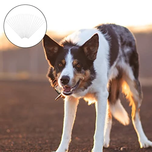 Disposable Artificial Insemination Rods Tube: Flexible Breeding Catheter Rod For Dog Goat Sheep Livestock Breed Rod Test 50pcs 7 Disposable Artificial Insemination Rods Tube: Flexible Breeding Catheter Rod For Dog Goat Sheep Livestock Breed Rod Test 50pcs - Image 5