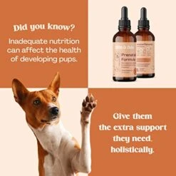 Dog Prenatal Vitamins Pregnant Kit - Prenatal Vitamins For Dogs - Pregnant Dog Supplies - Prenatal Dog Vitamins - Prenatal Kit For Pregnant Dogs - Folic Acid For Dogs - Prenatal For Dogs -Zoo Shop 412K4HmssFL