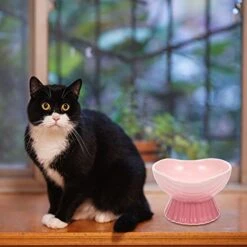 POPETPOP Food Containers Food Containers Plates Ceramic Raised Cat Food Ceramic Tilted Pet Feeder Waterer Porcelain Pet Dish With Stand For Cats Dogs Feeding Dog Food Container Dog Food Container -Zoo Shop 412SxAEk14L