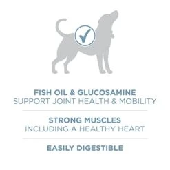 Purina ONE Plus Joint Health Formula Natural With Added Vitamins, Minerals And Nutrients Dry Dog Food - 31.1 Lb. Bag -Zoo Shop 412bUOIfagL