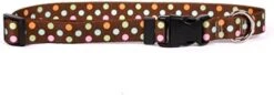 Yellow Dog Design Licorice Polka Dot Dog Collar 1" Wide And Fits Neck 18 To 28", Large -Zoo Shop 412chlIMpeL. AC