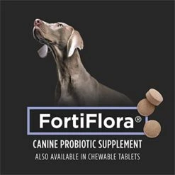 Purina Pro Plan Veterinary Supplements FortiFlora Dog Probiotic Supplement, Canine Nutritional Supplement - (72) 30 Ct. Boxes -Zoo Shop 412dFpY82vL