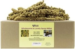 Birds LOVE Wholesome & Lovely Spray Millet Non-GMO No Pesticide (No Stems Only Edible Tops) For Parrots Birds Cockatiel Lovebird Keets Finch Canary All Parrots Healthy Treat-5lbs… -Zoo Shop 412q77DAwbL. AC