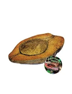 T-Rex ReptileTerrarium Décor - Wetlands Bowl