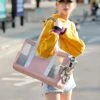 LEFEDA Pet Dog Carrier Bags Breathable Portable Pet Cat Dog Backpack Travel Mesh Hand Bag For Small Dog Transportin Gato Cat Bag Pet Backpack Carrier (Color : Pink) -Zoo Shop 413Pw5FU5DL