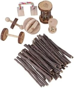 Balacoo 1set Teeth Cleaning Sticks In Wooden Cat Pets Dogs Snacks Stick -Zoo Shop 413aieisDQL. AC
