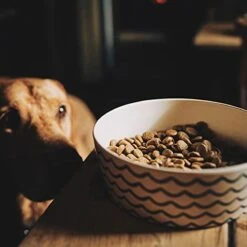 Beco Classic Printed Bamboo Dog Food & Water Bowl,Nature Inspired Ocean Waves, Small -Zoo Shop 413aqReqAFL