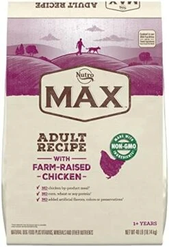 Nutro MAX Adult Recipe Dry Dog Food With Farm Raised Chicken, 12 LB Bag -Zoo Shop 413vb44aOdL. AC