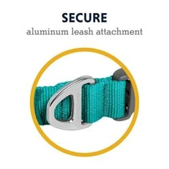 Ruffwear, Front Range Dog Collar, Durable And Comfortable Collar For Everyday Use, Aurora Teal, 11"-14" -Zoo Shop 413xArI3BEL