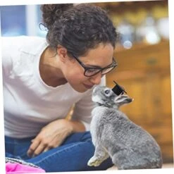 Hohopeti 12 Pcs Props Doctoral Costume Decorative Grade Photography Cats With Adjustable Hat Guinea Pets Mini Accessories Hamster Holiday Dogs Small Dress Prop Hats Kitten -Zoo Shop 413zENjFpWL