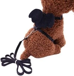 XxiaoTHAWxe Pet Leash Traction Rope, Cute Solid Color Mini Wings Nylon Pet Harness Chest Strap Dog Cat Lead Leash For Walking Training Running - Coffee XS -Zoo Shop 414Np1AZ9L. AC