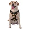 Dog Harness Leash Set Durable Oxford Breathable Reflective Puppy Harness Vest Spaghetti Italian Food For Walking Training Running, No Pull No Choke Pet Dog Harness 1 Dog Harness Leash Set Durable Oxford Breathable Reflective Puppy Harness Vest Spaghetti Italian Food For Walking Training Running, No Pull No Choke Pet Dog Harness -Zoo Shop 414O2XU59YL