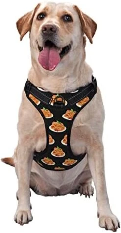 Dog Harness Leash Set Durable Oxford Breathable Reflective Puppy Harness Vest Spaghetti Italian Food For Walking Training Running, No Pull No Choke Pet Dog Harness -Zoo Shop 414O2XU59YL. AC 1