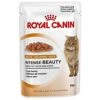 Royal Canin Intense Beauty In Jelly Cat Food 12 X 85g
