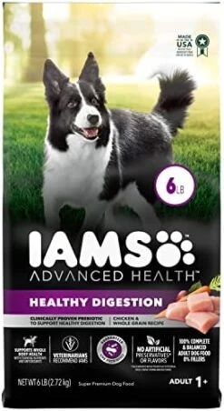 Iams Advanced Health Adult Healthy Digestion Dry Dog Food With Real Chicken, 13.5 Lb. Bag -Zoo Shop 4150qDLFvyL. AC