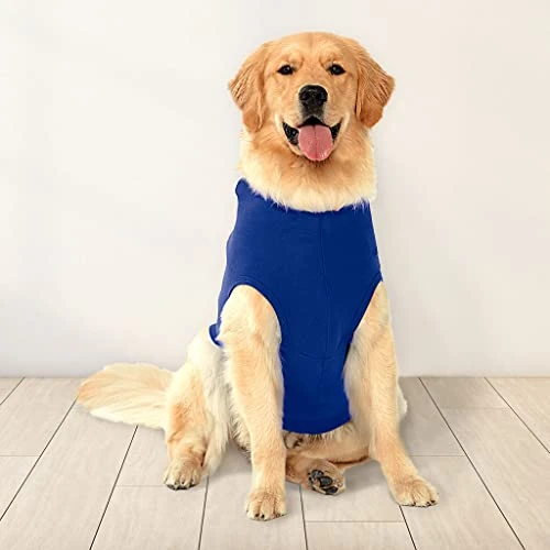 GENERIC Hot Dog Dog Shirt With Hoodie - Food Graphic Dog Hoodie - Graphic Dog Clothing - Black White, M 6 GENERIC Hot Dog Dog Shirt With Hoodie - Food Graphic Dog Hoodie - Graphic Dog Clothing - Black White, M - Image 4