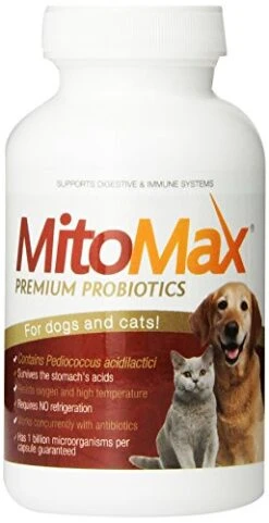 Imagilin Technology, LLC MitoMax-Premium Probiotics For Dogs And Cats, 100 Capsules Per Bottle