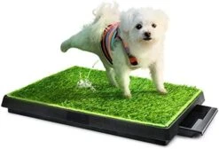 Hompet Dog Grass Pad With Tray Large, 2 Pcs Artificial Grass Training Pads With Pee Baffle Patch Puppy Turf Potty For Indoor And Outdoor Use, Ideal For Small And Medium Dogs (30"×20") 11 Hompet Dog Grass Pad With Tray Large, 2 Pcs Artificial Grass Training Pads With Pee Baffle Patch Puppy Turf Potty For Indoor And Outdoor Use, Ideal For Small And Medium Dogs (30"×20") -Zoo Shop 415E sKW95L. AC