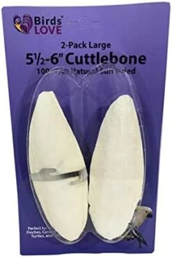 Birds LOVE Natural Cuttlebone – Premium Calcium & Trace Mineral Supplement For Avian Species, Tortoises, And Snails – Pure Cuttlebone For Parakeets, Cockatiels, And All Birds | 12 Pack Of 5 .5-6" -Zoo Shop 415PdE1W2LL. AC