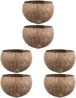 NOGRAX Rabbit Toy 6 Pcs Small Animals Small Animals Feeding Bowls Hamster Feeder Hamster Cage Bowls Feeder Shell Rabbit Toys Feeder (Color : As Shownx2pcs, Size : 11.5X11.5X8CMx2pcs) 20 NOGRAX Rabbit Toy 6 Pcs Small Animals Small Animals Feeding Bowls Hamster Feeder Hamster Cage Bowls Feeder Shell Rabbit Toys Feeder (Color : As Shownx2pcs, Size : 11.5X11.5X8CMx2pcs) -Zoo Shop 415Retls4yL. AC 1