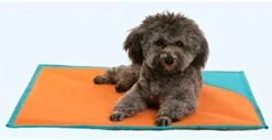 Summer Pet Dog Bed Pad Crates Ice Cooling Cat Sleeping Mat Keep Cool Nylon Kennels Sofa House -Zoo Shop 415Vnkfj5zL. AC 1