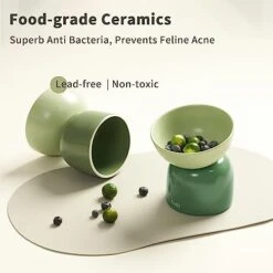 MS!MAKE SURE Cat Bowl, Elevated/Raised Ceramic Cat Food Bowl, Protects Spine, Relieves Whisker Fatigue, Superb Anti-Bacterial, Perfect For Indoor Cats (Green) -Zoo Shop 415WUUzT3KL