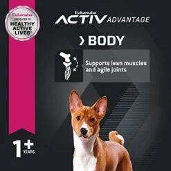 Eukanuba Adult Small Bites Dry Dog Food, 4.5 Lb. Bag 9 Eukanuba Adult Small Bites Dry Dog Food, 4.5 Lb. Bag -Zoo Shop 415mtrcv7uL 1