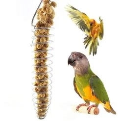FVOWOH For Fruit Stainless Holder Budgie Bird Vegetable Fruit Vegetable Skewer Parrot Steel Pet Supplies Electronic Dog Feeders For Large Dogs(l1-Multicolor) -Zoo Shop 416DV8MthfL 1