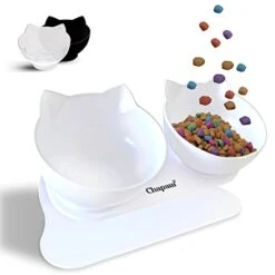 Cat Bowls, Raised Cat Bowl With Stand | Anti Vomiting Choking | Perfect Elevated & Tilted For Kittens Cats Small Dogs | Great For Water, Dry Wet Food Feeding Station | Double Plastic White Bowls