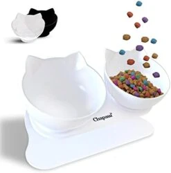Cat Bowls, Raised Cat Bowl With Stand | Anti Vomiting Choking | Perfect Elevated & Tilted For Kittens Cats Small Dogs | Great For Water, Dry Wet Food Feeding Station | Double Plastic White Bowls -Zoo Shop 416lx6wED6L. AC