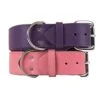 Dallas Luxury Leather Padded Dog Collar -Pink - 26" X 1.5" -Zoo Shop 417EU7QzuIL