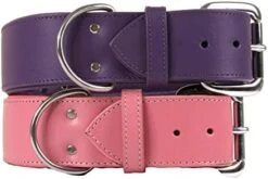 Dallas Luxury Leather Padded Dog Collar -Pink - 26" X 1.5" 9 Dallas Luxury Leather Padded Dog Collar -Pink - 26" X 1.5" -Zoo Shop 417EU7QzuIL. AC