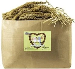 Birds LOVE Wholesome & Lovely Spray Millet Non-GMO No Pesticide (No Stems Only Edible Tops) For Parrots Birds Cockatiel Lovebird Keets Finch Canary All Parrots Healthy Treat-5lbs… -Zoo Shop 417NkByCG7L. AC