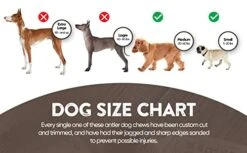 WhiteTail Naturals - Water Buffalo Horns For Dogs (3 Pack Medium) All-Natural Buffalo Horn Dog Chew - Long Lasting Chew Toy For Aggressive Chewers And Teething Puppies -Zoo Shop 417VjbahpxL 1