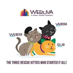 Weruva Best Feline Friend (B.F.F.), Batch 'O Besties Variety Pack, Wet Cat Food, 3oz Can (Pack Of 12) -Zoo Shop 417fLlBnYAL
