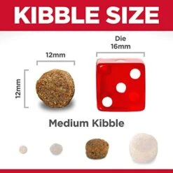 Hill's Science Diet Dry Dog Food, Adult 7+ For Senior Dogs, Chicken Meal, Barley & Rice Recipe, 5 Lb. Bag 13 Hill's Science Diet Dry Dog Food, Adult 7+ For Senior Dogs, Chicken Meal, Barley & Rice Recipe, 5 Lb. Bag -Zoo Shop 417vOrVJkFL