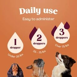 Dog Prenatal Vitamins Pregnant Kit - Prenatal Vitamins For Dogs - Pregnant Dog Supplies - Prenatal Dog Vitamins - Prenatal Kit For Pregnant Dogs - Folic Acid For Dogs - Prenatal For Dogs -Zoo Shop 4182qrwyivL