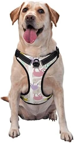 Dog Harness Leash Set Durable Oxford Breathable Reflective Puppy Harness Vest Spaghetti Italian Food For Walking Training Running, No Pull No Choke Pet Dog Harness -Zoo Shop 418S ASamOL. AC