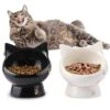 Cat Bowl, Raised Cat Food Bowls Anti Vomiting, Handmade Elevated Cat Bowl, Ceramic Pet Food Bowl For Flat-Faced Cats, Small Dogs, Protect Pet's Spine,Dishwasher Safe, Black And White, 2pcs (Bowl-2) 1 Cat Bowl, Raised Cat Food Bowls Anti Vomiting, Handmade Elevated Cat Bowl, Ceramic Pet Food Bowl For Flat-Faced Cats, Small Dogs, Protect Pet's Spine,Dishwasher Safe, Black And White, 2pcs (Bowl-2) -Zoo Shop 418W0XnzRfL